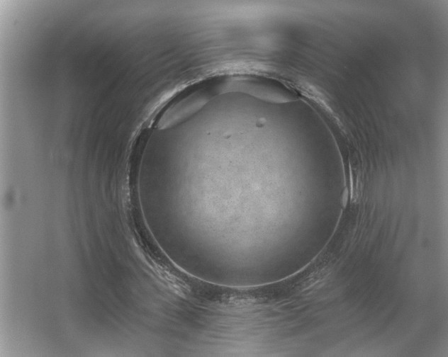 X0000067900531200604131357