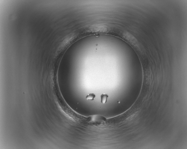 X0000067900538200604131357