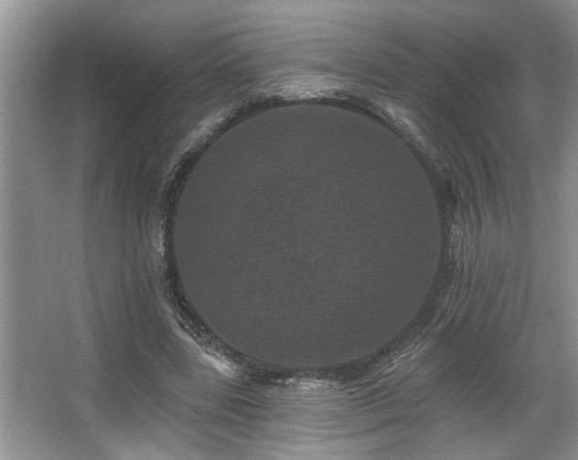 X0000067900539200604131357