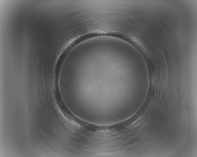 X0000067900540200604131357