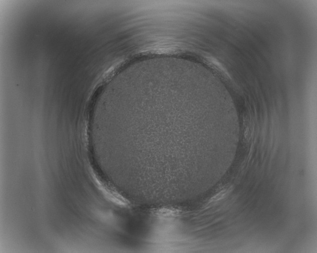 X0000067900542200604131357