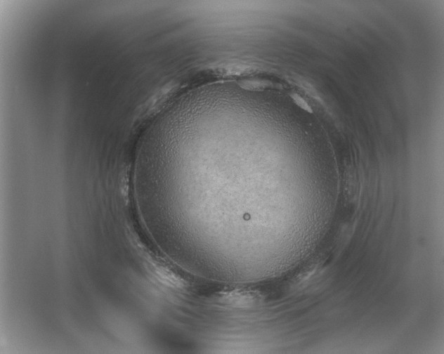 X0000067900545200604131357