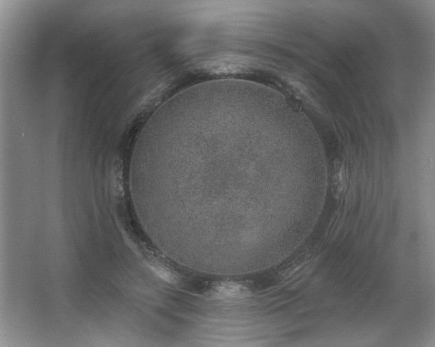 X0000067900547200604131357