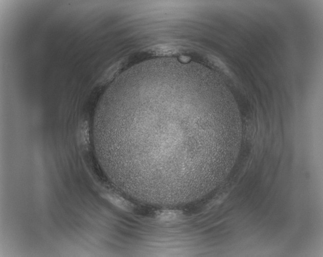 X0000067900549200604131357