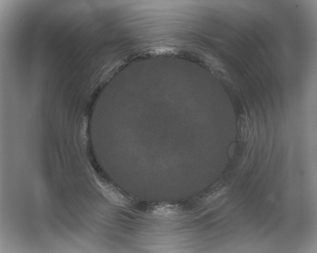 X0000067900550200604131357