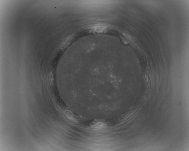 X0000067900551200604131357