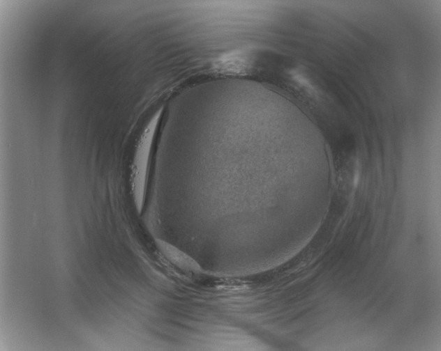 X0000067900552200604131357