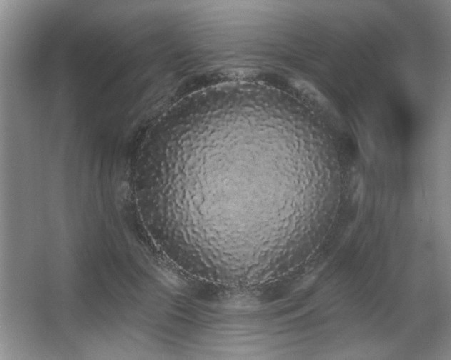 X0000067900553200604131357