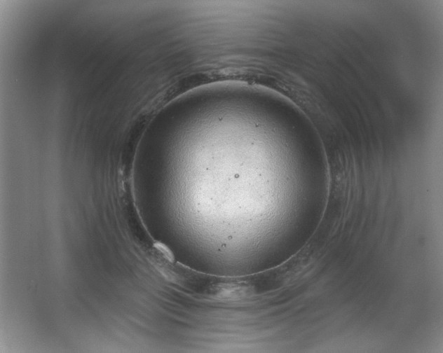 X0000067900555200604131357