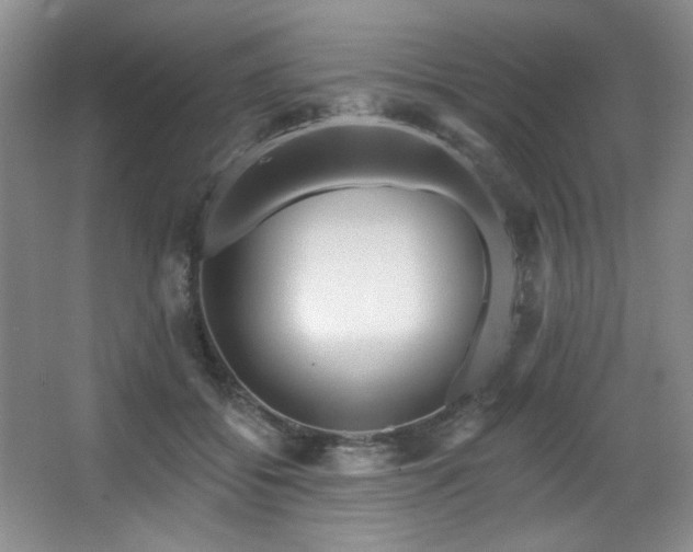 X0000067900556200604131357