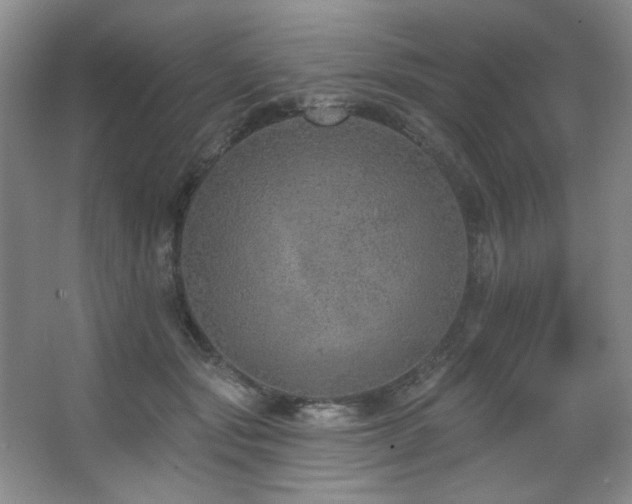 X0000067900557200604131357