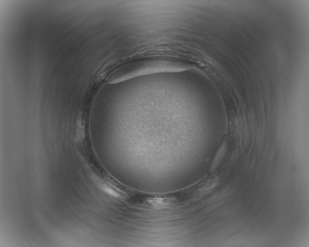 X0000067900558200604131357