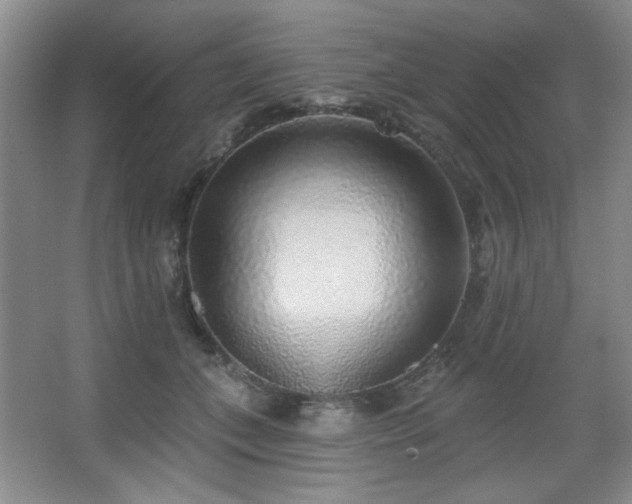 X0000067900559200604131357