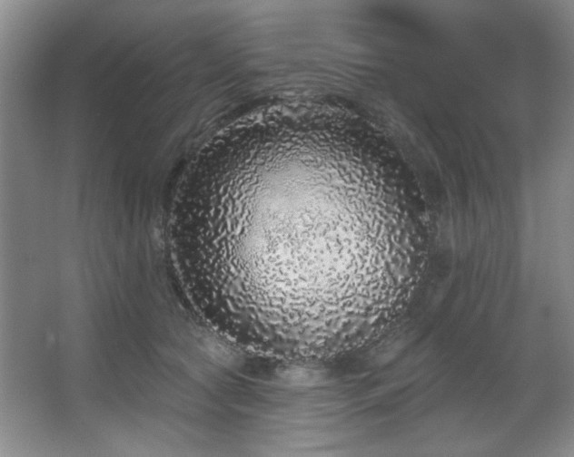 X0000067900561200604131357