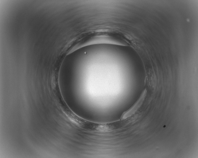 X0000067900562200604131357