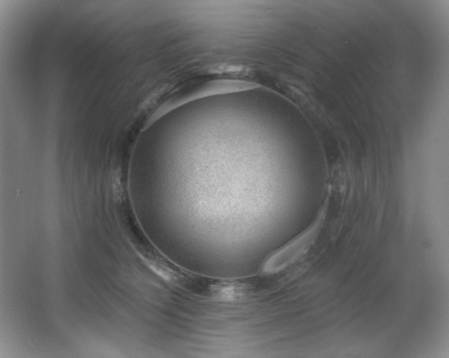 X0000067900564200604131357