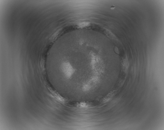 X0000067900565200604131357