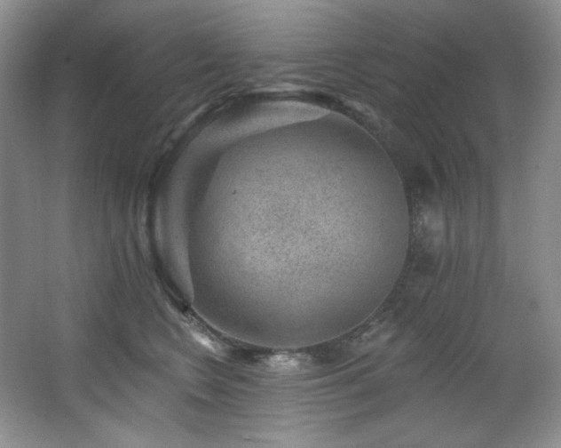 X0000067900566200604131357