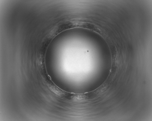 X0000067900567200604131357