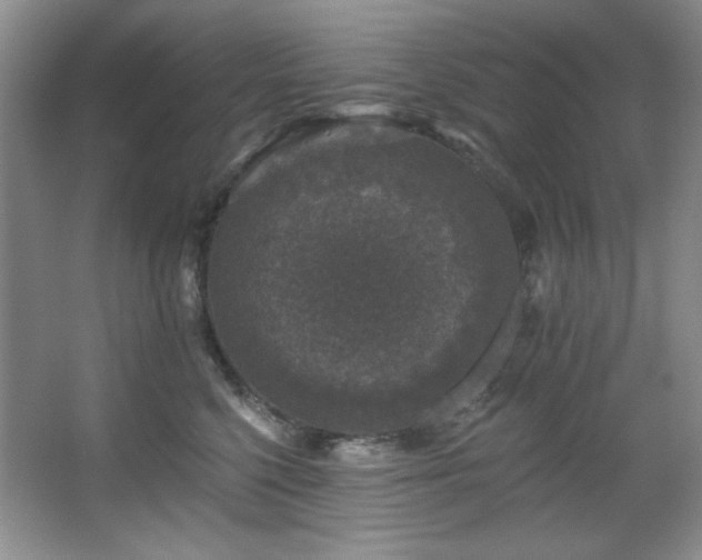 X0000067900568200604131357