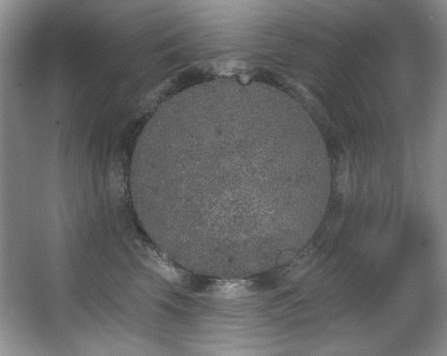 X0000067900569200604131357