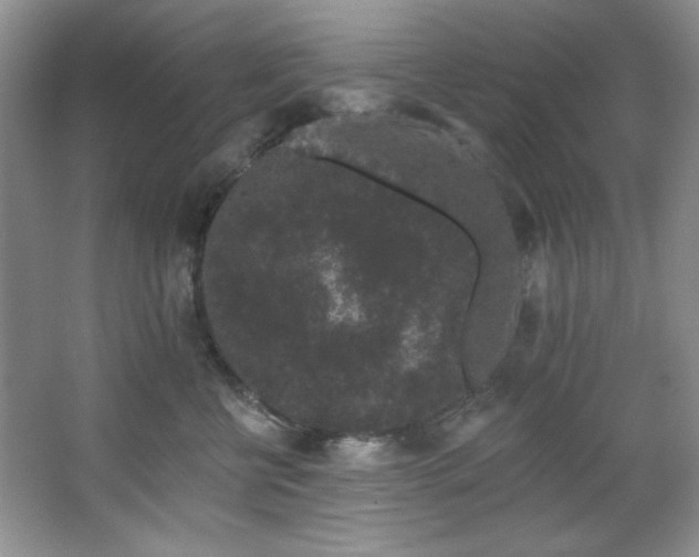 X0000067900570200604131357