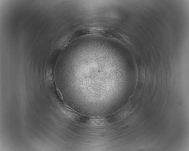 X0000067900571200604131357