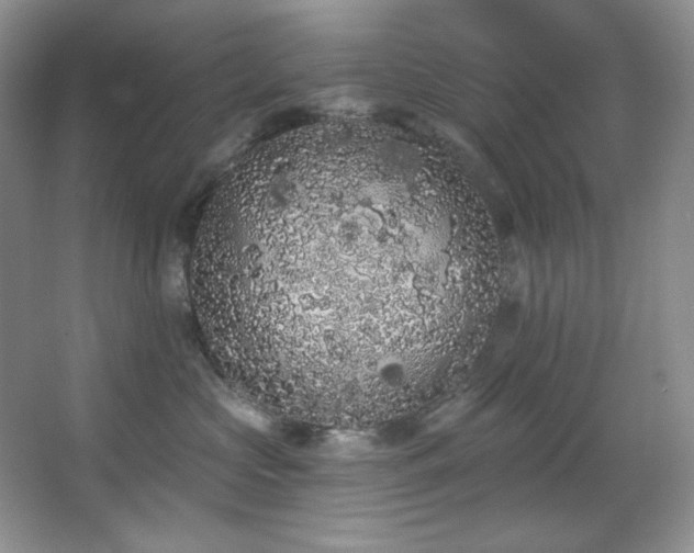 X0000067900573200604131357