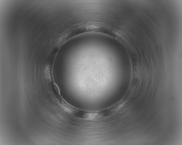 X0000067900575200604131357