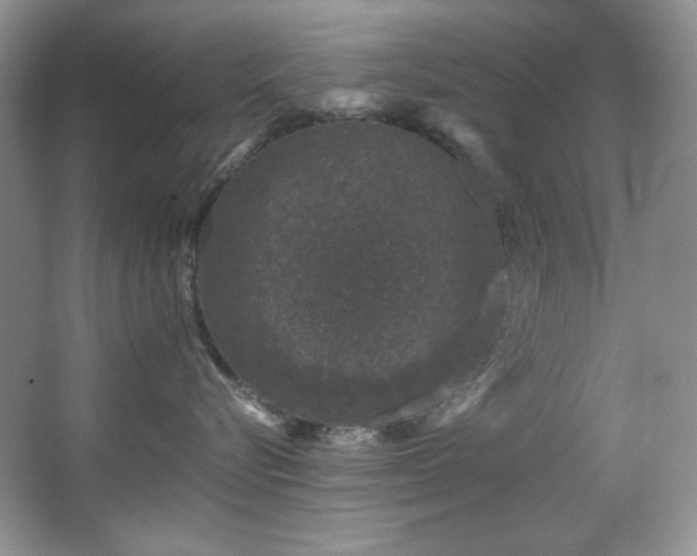 X0000067900576200604131357