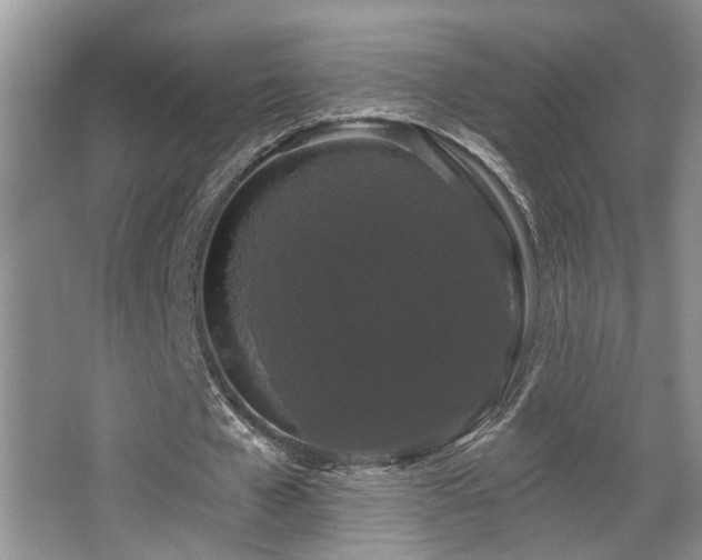 X0000067900577200604131357