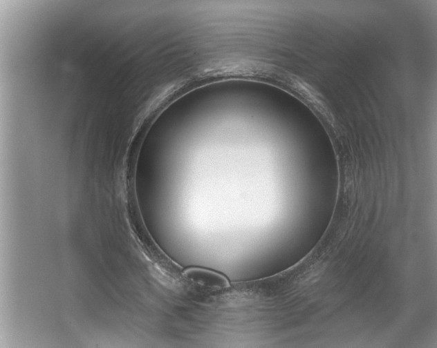 X0000067900578200604131357