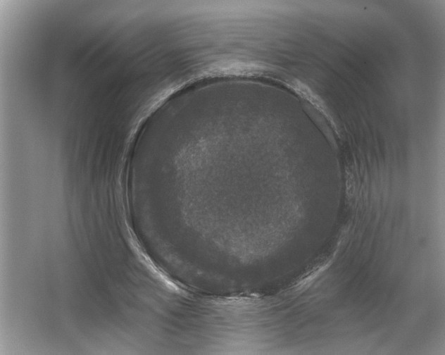 X0000067900581200604131357