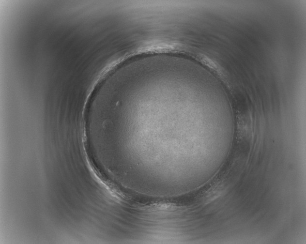 X0000067900582200604131357