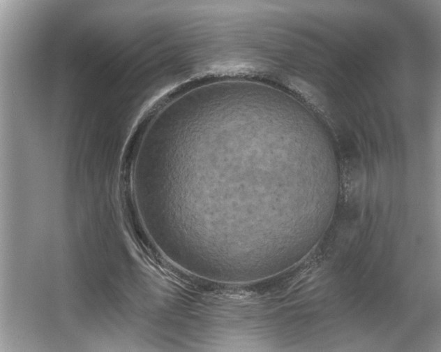 X0000067900583200604131357