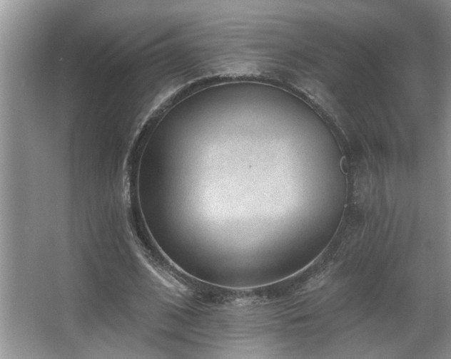 X0000067900584200604131357