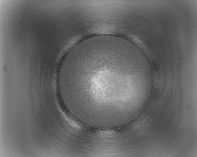 X0000067900586200604131356