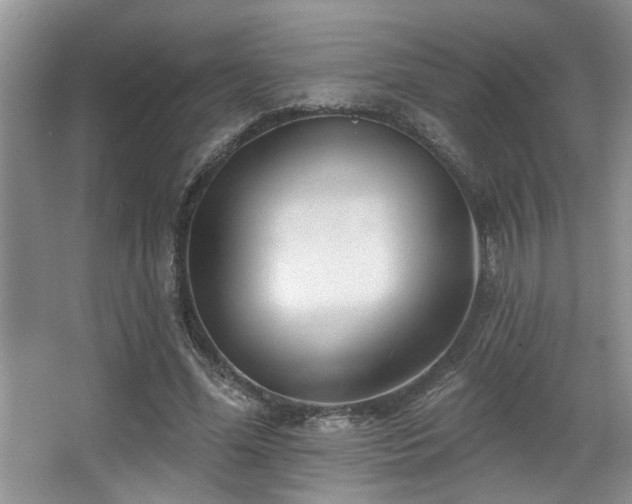 X0000067900588200604131356