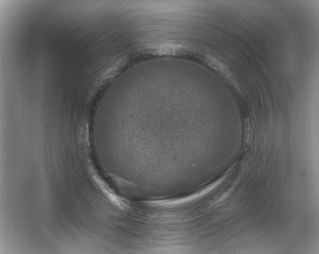 X0000067900589200604131356