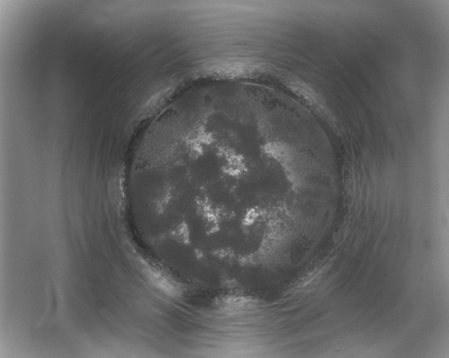 X0000067900590200604131356