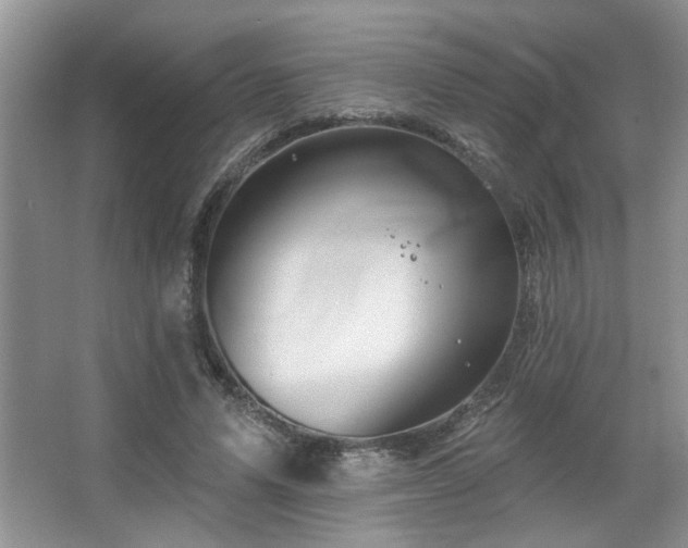 X0000067900591200604131356