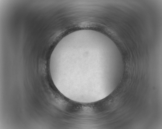 X0000067900592200604131356