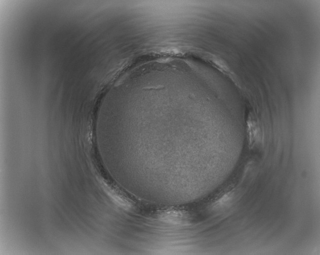 X0000067900593200604131356