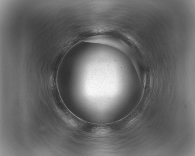 X0000067900597200604131356