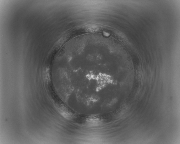 X0000067900598200604131356