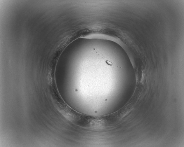 X0000067900599200604131356