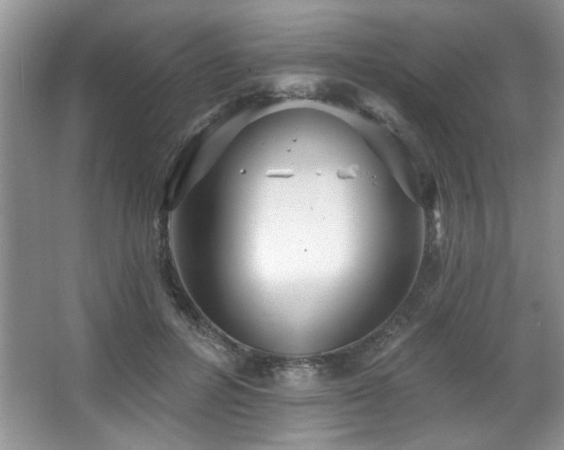 X0000067900600200604131356