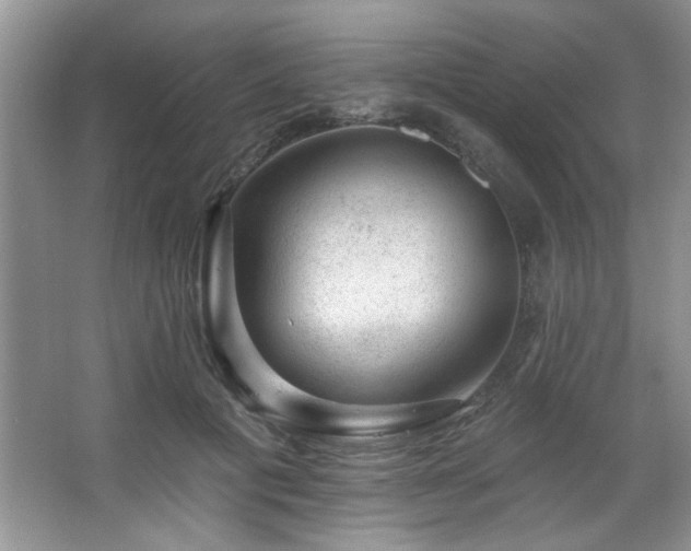 X0000067900601200604131356