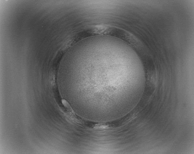 X0000067900602200604131356