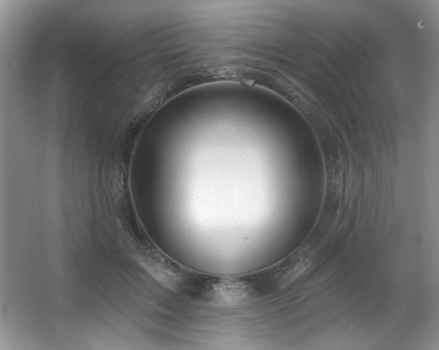 X0000067900603200604131356